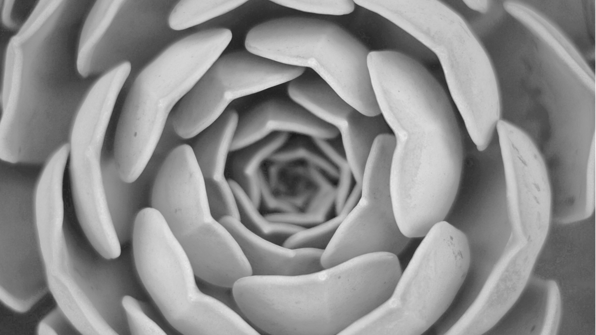 Seeing Patterns We’ve Never Seen Before - The HuPerson Project